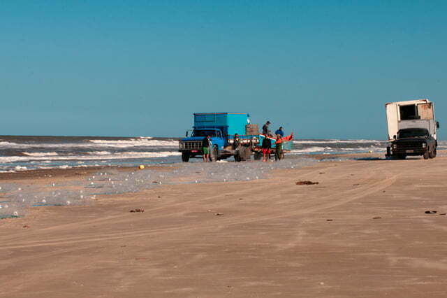  imagem de caminhão e pescadores com rede, praia do Cassino, RS