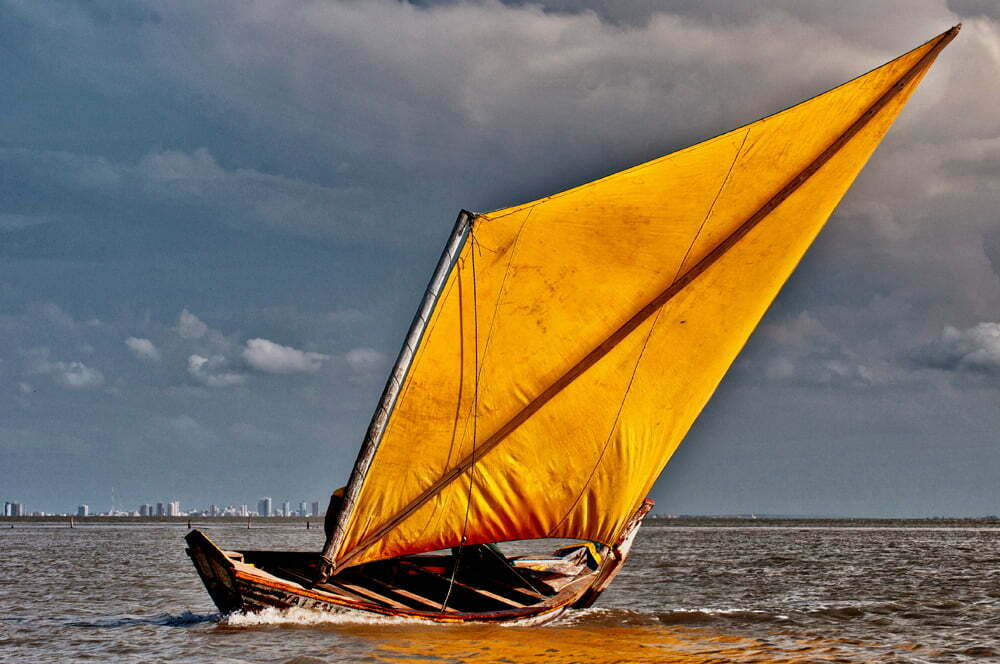 Reminiscências de uma tarde domingueira, imagem de uma curicaca navegando no Maranhão